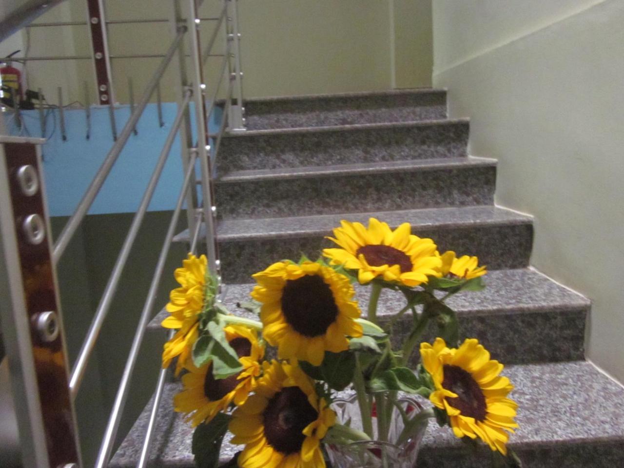 Thien Phu Hostel Фонгня Экстерьер фото